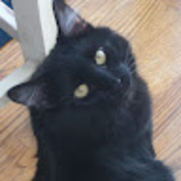 allicatco